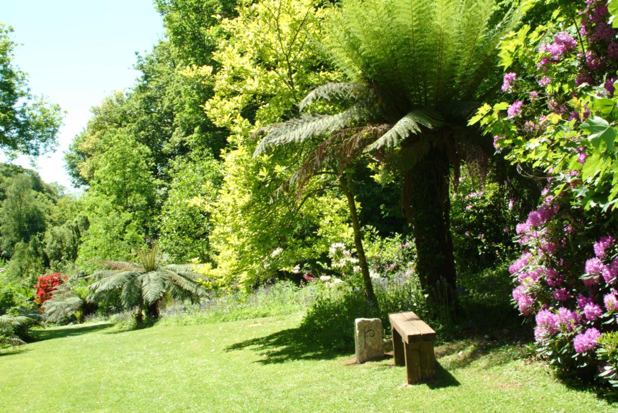 Budock Vean Hotel And Spa Falmouth Dış mekan fotoğraf